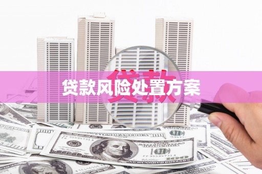 天宁贷款风险处置方案