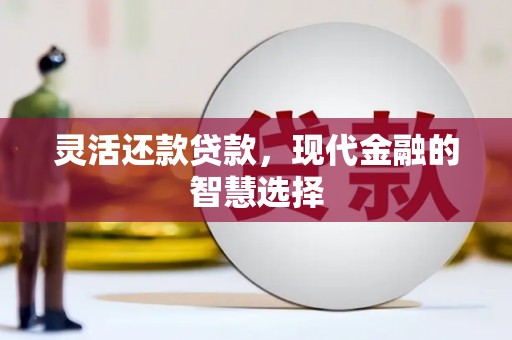 天宁灵活还款贷款，现代金融的智慧选择