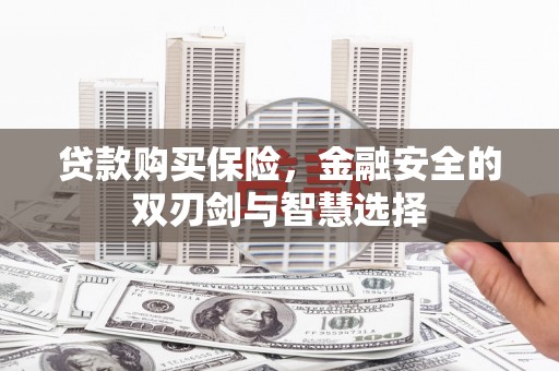 天宁贷款购买保险，金融安全的双刃剑与智慧选择