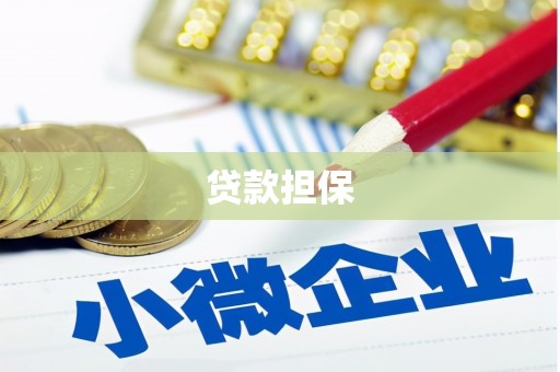 天宁贷款担保