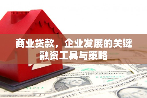 天宁商业贷款，企业发展的关键融资工具与策略