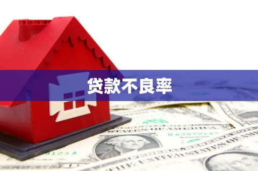 天宁贷款不良率