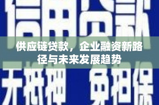 天宁供应链贷款，企业融资新路径与未来发展趋势