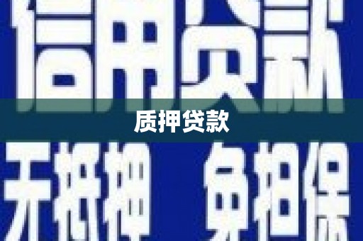 天宁质押贷款