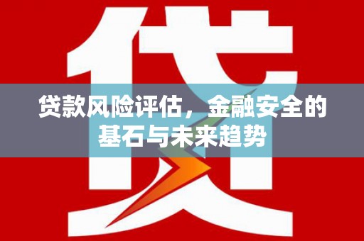 天宁贷款风险评估，金融安全的基石与未来趋势