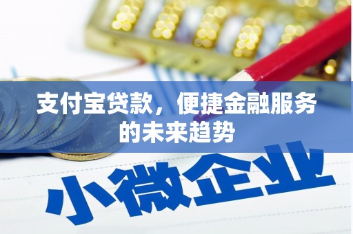天宁支付宝贷款，便捷金融服务的未来趋势