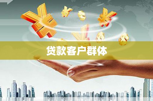 天宁贷款客户群体