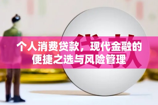 天宁个人消费贷款，现代金融的便捷之选与风险管理