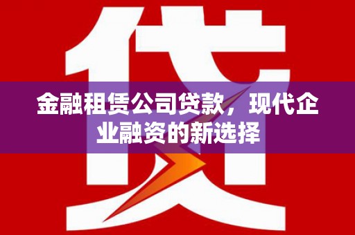 天宁金融租赁公司贷款，现代企业融资的新选择