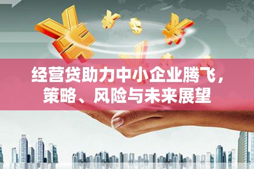 天宁经营贷助力中小企业腾飞，策略、风险与未来展望