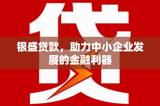 天宁银盛贷款，助力中小企业发展的金融利器