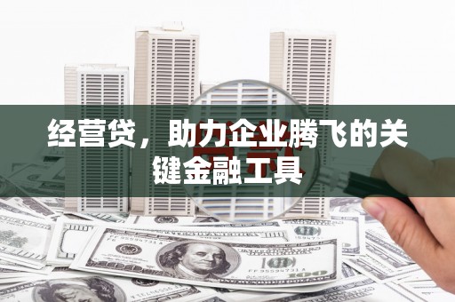 天宁经营贷，助力企业腾飞的关键金融工具