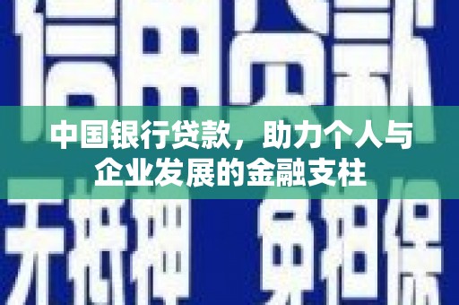 天宁中国银行贷款，助力个人与企业发展的金融支柱