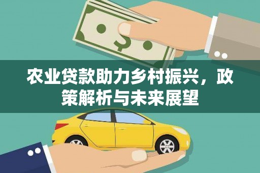 天宁农业贷款助力乡村振兴，政策解析与未来展望
