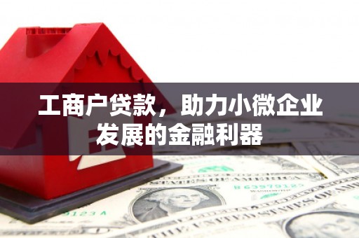 天宁工商户贷款，助力小微企业发展的金融利器