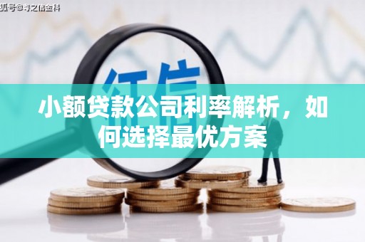 天宁小额贷款公司利率解析，如何选择最优方案