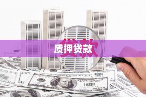 天宁质押贷款
