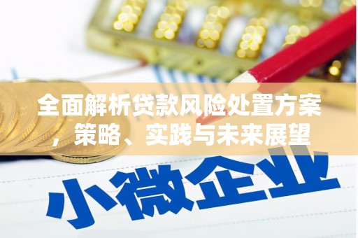 天宁全面解析贷款风险处置方案，策略、实践与未来展望