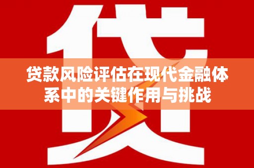 天宁贷款风险评估在现代金融体系中的关键作用与挑战