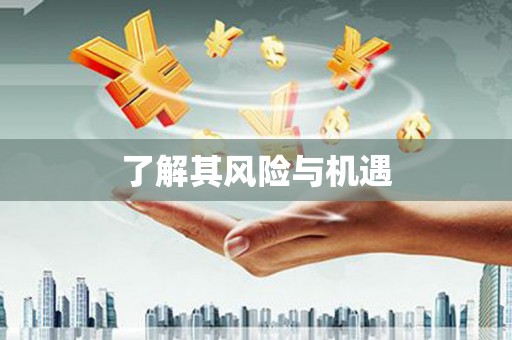 天宁了解其风险与机遇