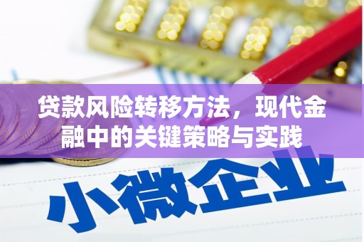 天宁贷款风险转移方法，现代金融中的关键策略与实践