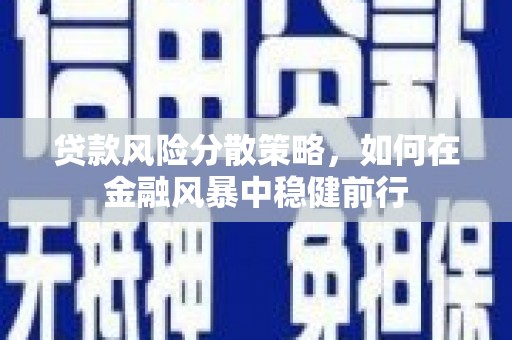 天宁贷款风险分散策略，如何在金融风暴中稳健前行