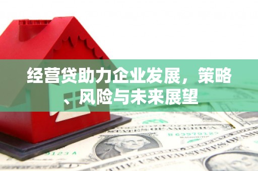 天宁经营贷助力企业发展，策略、风险与未来展望