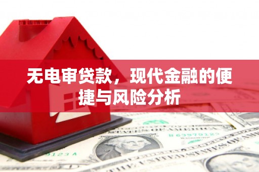 天宁无电审贷款，现代金融的便捷与风险分析