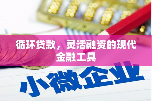 天宁循环贷款，灵活融资的现代金融工具