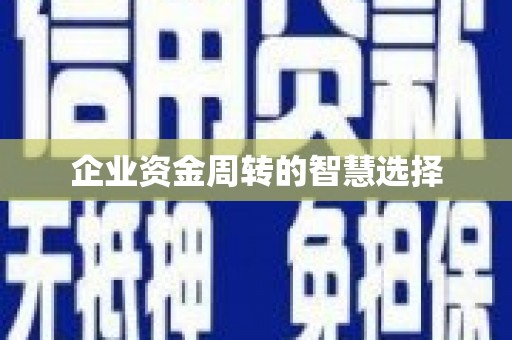 天宁企业资金周转的智慧选择