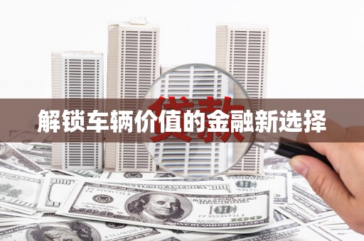 天宁解锁车辆价值的金融新选择