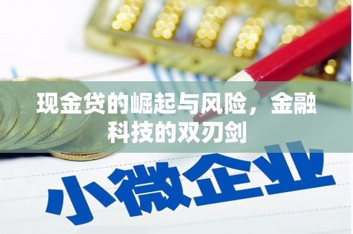 天宁现金贷的崛起与风险，金融科技的双刃剑
