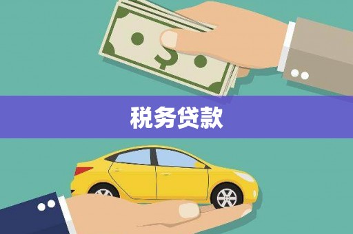 天宁税务贷款