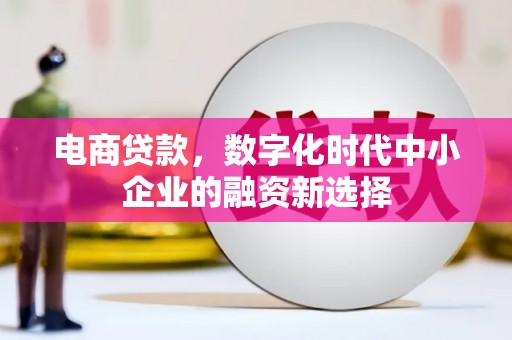 天宁电商贷款，数字化时代中小企业的融资新选择