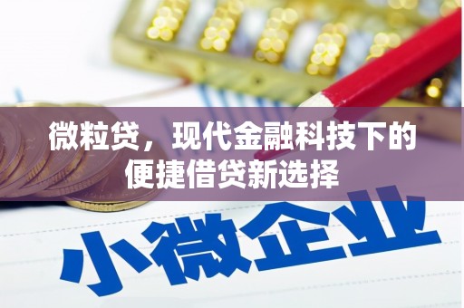 天宁微粒贷，现代金融科技下的便捷借贷新选择