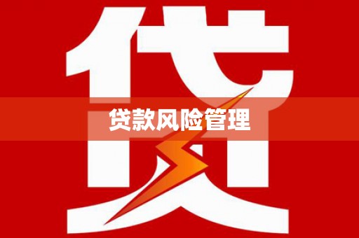 天宁贷款风险管理