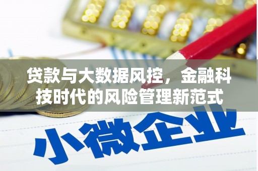 天宁贷款与大数据风控，金融科技时代的风险管理新范式