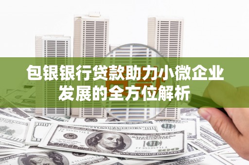 天宁包银银行贷款助力小微企业发展的全方位解析
