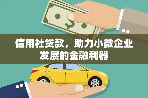 天宁信用社贷款，助力小微企业发展的金融利器