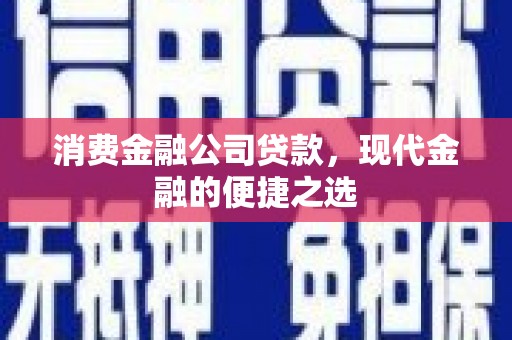 天宁消费金融公司贷款，现代金融的便捷之选