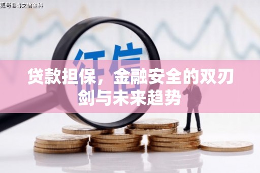 天宁贷款担保，金融安全的双刃剑与未来趋势