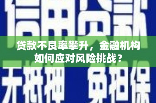 天宁贷款不良率攀升，金融机构如何应对风险挑战？
