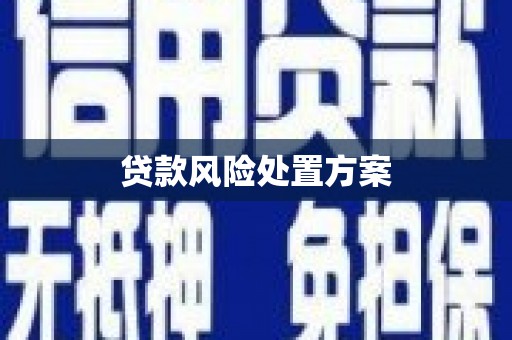 天宁贷款风险处置方案