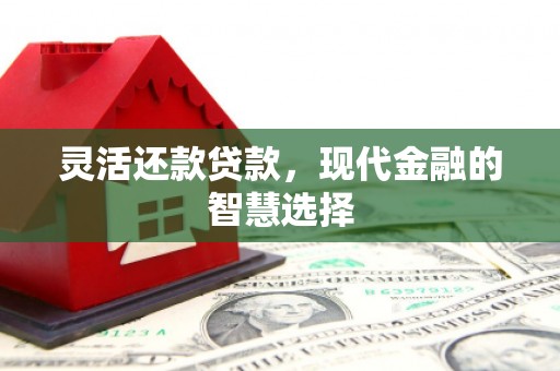 天宁灵活还款贷款，现代金融的智慧选择