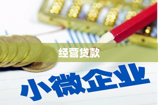 天宁经营贷款