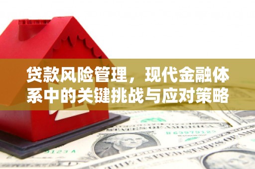 天宁贷款风险管理，现代金融体系中的关键挑战与应对策略
