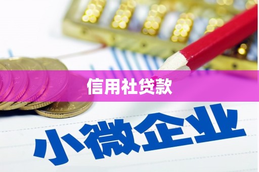 天宁信用社贷款