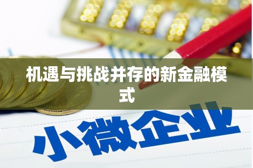 天宁机遇与挑战并存的新金融模式