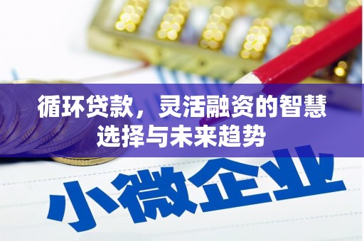 天宁循环贷款，灵活融资的智慧选择与未来趋势