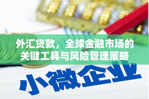 天宁外汇贷款，全球金融市场的关键工具与风险管理策略